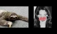 Sloth crossing the road with Lana Del Rey