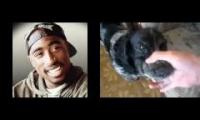Tupac - Last One Breathin dog rap