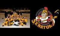 Lac-St-Jean/Ste Marie Oil Barons Goal Horn 2007-2008 and 2014-2015 Playoffs