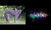 dubstep mashup wo wo wo wowoowo