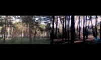 бинауральная трехсосенская прогулка у лесу
