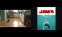 Roomba Cat with Jaws theme