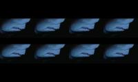 SHARKDSZXXXXXXXXXXXXXXXXXX