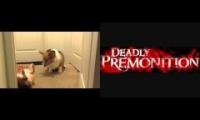 extreme corgo fight very dangerous do not attempt