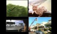 Furry epic cat/dog