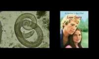 Trichinella spiralis + Love Story