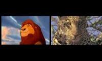Live Action Lion King