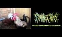 Brutal metal with brutal vocalist