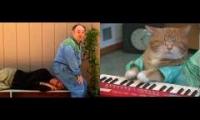 keyboard cat sit on you keyboard cat sit on you