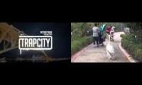 Victory Pelican Pimp