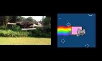 ostrichcopter nyan cat