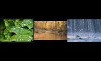Chopin's Raindrop Prelude combined with rain