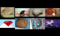 jerry deep bubblegum virsion