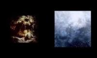 Wolves In The Throne Room - Celestite Lineage