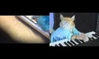 keyboard cat vs puffle