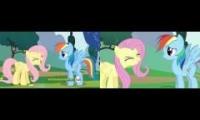 Fluttershy's Cheer (IMShadow007 vs Zozey1231)