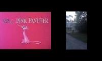 Bear walks upright / Pink Panther theme