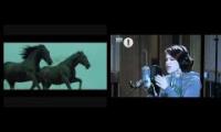 Magnetic Man ft. Katy B - Perfect Stranger. Radio 1 (Live).