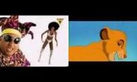 King Africa Lion - Bomba
