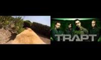 run walter run trapt headstrong