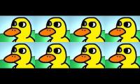 The Duck Song Eight Times