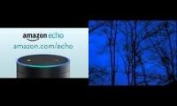 Amazon Echo: It's Always On