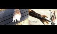 Squirell's creed asdqwezxc