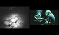 The Bard's Song with Badgers in the Snow