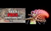 knock on wood termite advert