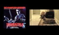 TERMINATOR CATS AND DOGS