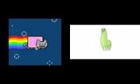Nyan cat er så glad i dag!