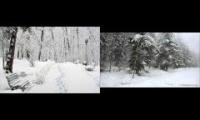 snow storm + footsteps on snow