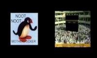 NOOT NOOT NOOT NOOT NOOT NOOT NOOT