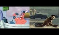 This Is Not Sparta.. THIS IS PATRICK!