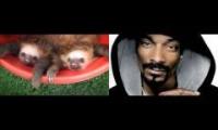 sloth dogg eeeeeeeeeeeeeeeeeeeeeeeee