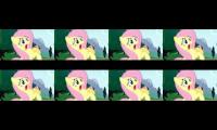 Fluttershy Yay for the thing
