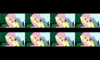 Thumbnail of Fluttershy Yay for a wing