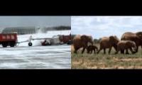 Cavalcade of plows at YOW