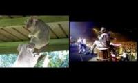 slipknot koala eyeore