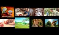 landliebe 20 character