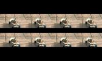 lubesteronafakeboard