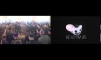 Muslim Rave Deadmau5