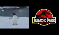 Penguin Park featuring Jurassic Park Theme Song