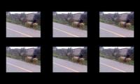 JE SUIS CHARLIE riding Muhammed