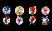 Sonic,tails,knucks,amy,shadow,roges,eggman and big
