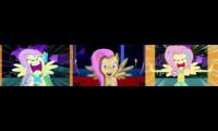 fluttershy 'your going to love me' in different  animations