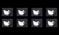 HEEEEEEEEEEEEEEEEEELP