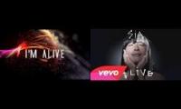 [Lyrics] Sia - Alive