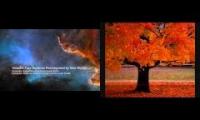 The Four Seasons:  Vivaldi and Richter