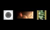 Noise+ProgressiveMetalRiffsGood
